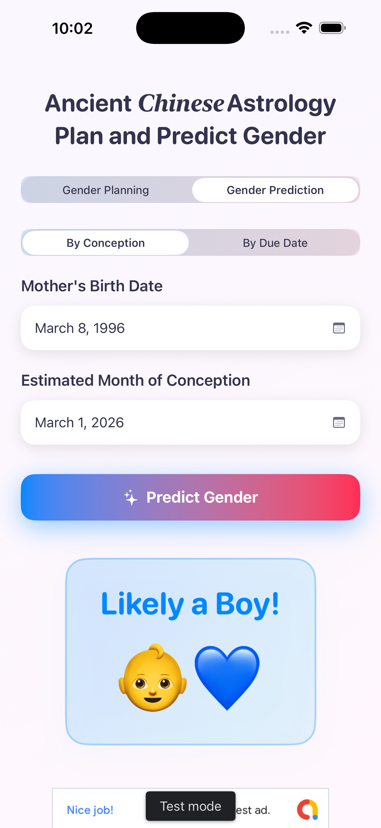 Chinese Gender Predictor - Planning Screen